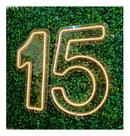 Painel Neon Numero 15 Quinze Iluminação Branco Quente 50 Cm
