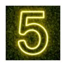 Painel Neon Numero Cinco 5 Instagram Iluminação 30 Cm