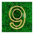 Painel Neon Numero Nove 9 Instagram Iluminação Branco 50cm