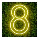 Painel Neon Numero Oito 8 Instagram Iluminação Branco 50cm