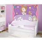 Painel TNT Princesinha Sofia Decoração Parede Festa