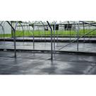 Paisagismo Ground Covers RSI Commercial All Weather 4 pés