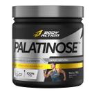 Palatinose 100% Pura Body Action 300g -