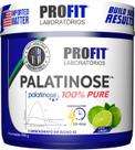 Palatinose 100% Pure - Pote 300g - Profit Labs