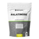 Palatinose - 1000g Abacaxi Com Hortelã - NewNutrition