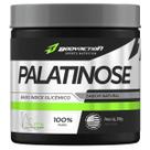Palatinose 300 G - Body Action
