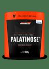Palatinose 300g - New Millen