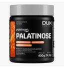 Palatinose 400g Dux Nutrition