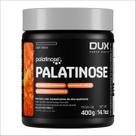 Palatinose 400g