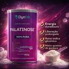 Palatinose 400g dynlab Palatinose 400g dynlab