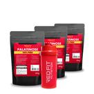 Palatinose Isomaltulose 1,5Kg - 100% Pura Importada - Red Fit Nutrition