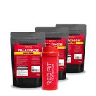 Palatinose Isomaltulose 750g - 100% Pura Importada - Red Fit Nutrition