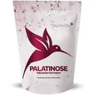 Palatinose Puravida 300g