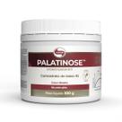 Palatinose Vegano Vitafor 300g Neutro