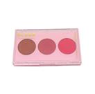 Paleta de Blush - Phallebeauty