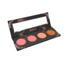 Paleta De Quarteto De Blush Ludurana