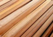 Palha Taboa Natural Artesanato 500gr Cesta Decorativa Solta