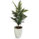 Palmeira Artificial Areca Planta + Vaso Completo Decoração Palmeira Artificial Areca Planta + Vaso Completo Decoração