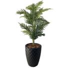 Palmeira Artificial Areca Planta + Vaso Completo Decoração Palmeira Artificial Areca Planta + Vaso Completo Decoração