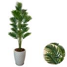 Palmeira Artificial Grande Com Vaso Polietileno Completo - Palmeira Artificial Grande Com Vaso Polietileno Completo -