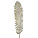 Palmeira Leque Desidratado