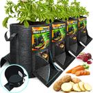 PAMAZY Sacos para Cultivo de Batatas 15 galões, kit com 4 unidades e alças