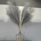 Pampas Grass Decor Wttisel Wttisel 38 10 Stems Faux Pampas Grass
