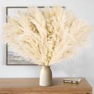 Pampas Grass HUATEMEI 11 peças de 43 cm bege para decoração boho