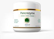 Pancrezyme 60 Caps Suplemento Alimentar 280mg e 500mg