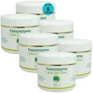 Pancrezyme 60 Cápsulas 280mg Para Cães e Gatos Inovet Kit Com 6