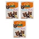 Panda Kids Baunilha Sem Glúten Sem Lactose Kodilar 100g - Kit 3 Unidades