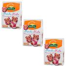 Panda Kids Morango Sem Glúten Sem Lactose Kodilar 100g - Kit 3 Unidades