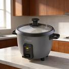 Panela Elétrica De Arroz Oster PAN306 127v