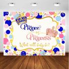 Pano de fundo fotográfico Avezano Prince or Princess Reveal
