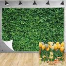 Pano de fundo Msocio Green Leaves Nature Polyester 152x213cm