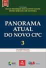 Panorama atual do novo cpc 3 - 2019