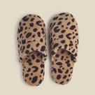 Pantufa Animal Print - ACASA