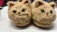 Pantufa Gatinho