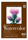Papel Aquarela Strathmore Watercolour 300g 22,9 X 30,5cm 12f