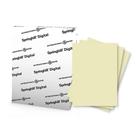 Papel cartolina Springhill Ivory 163gsm 250 folhas 8,5x11