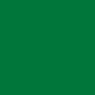 Papel Color Plus - Verde Bandeira - Brasil (10UN) Papel Color Plus - Verde Bandeira - Brasil (10UN)