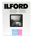 Papel de ampliação Ilford Multigrade Cooltone RC B&W 8x10"
