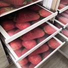 Papel de Gaveta Perfumado - Morango