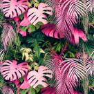 Papel de Parede 10 Metros Adesivo Folhas Rosa Painel Vivo para Quarto Sala