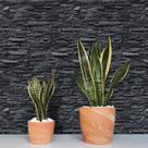 Papel De Parede Adesivo 3d Pedras Canjiquinha Tons Preto 1m