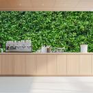 Papel de Parede Adesivo Autocolante Decorativo Folhas Verdes 5 METROS 1 ROLO 5m x 45cm