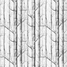 Papel de Parede Adesivo Casual Galhos Secos - 041