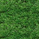 Papel de Parede Adesivo Folhagem Hera Verde Lavável Varanda 3M