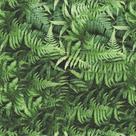 Papel de Parede Adesivo Lavável Folha Planta Sabambaia Papel de Parede Adesivo Lavável Folha Planta Sabambaia