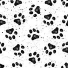 Papel De Parede Adesivo Pet Cachorro Patas Branco 10m